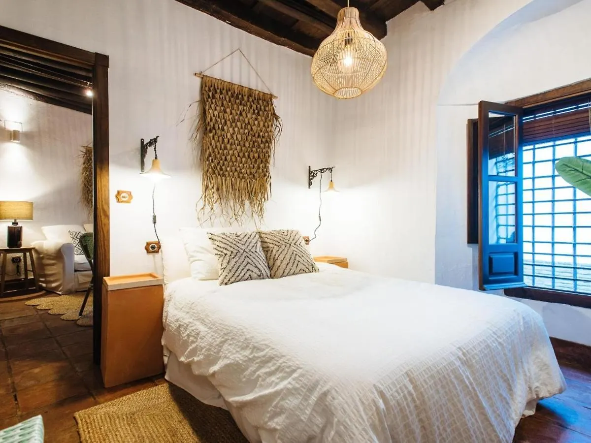 Casa Patio Los Suenos De Daury I Córdoba España